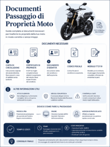 Infografica con informazioni sul processo di creazione dell'articolo
